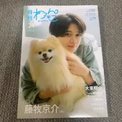 月刊わんこvol.24　表紙巻頭特集：藤牧京介（INI）／裏表紙：大東駿介