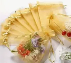 Item thumbnail for item 95986273-4c24-40b8-bd8e-5d11bfb06e00