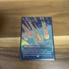 MTG ザンティッドの大群 中国語版 1枚 SCG版 - メルカリ