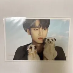 SEVENTEEN ミンギュ dfesta ポストカード