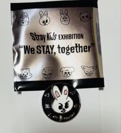 StrayKids EXHIBITION 展覧会 ランダムピンバッチ リービット