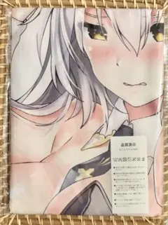 【未使用•ほぼ新品】バニーガール タペストリー