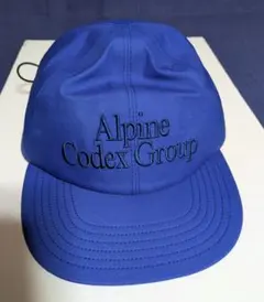 2026年最新】alpine codex groupの人気アイテム - メルカリ