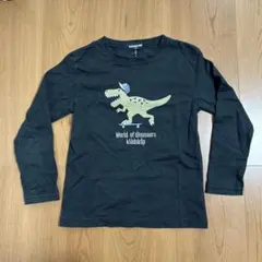 klädkåp kladskap 恐竜刺繍 長袖カットソー　110