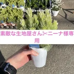 素敵な生地屋さん✂︎ニーナ様専用のサムネイル