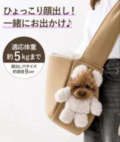 Item thumbnail for item a9116795-2dfc-4b24-a7ac-29350300f511