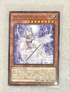遊戯王HIGH-RESOLUTION ウィッチクラフト マスター・ヴェール - メルカリ