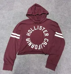 HOLLISTER 薄手 パーカー ショート丈 フーディー L レディースのサムネイル