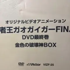 激レア品！ザ・ハイロウズ 販売促進DVD 2002年 エンジェル・ビートル