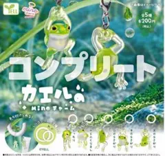 カエル mineチャーム 全5種コンプリートセット