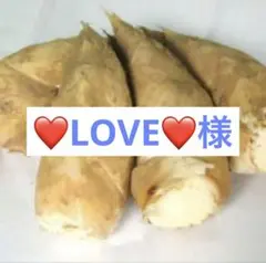❤️LOVE❤️様　京都山城産　朝掘り筍3kg