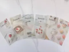 バインダー貯金/週予算/A6サイズ/貯金リフィル/積立シート/両面マットラミ