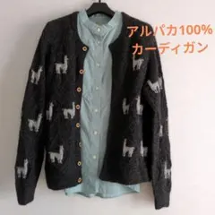 Item thumbnail for item 58ccf109-5dbf-40c4-9afa-bb1a1f73ca7b