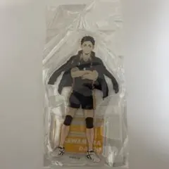 ハイキュー!! アクリルスタンド 澤村大地