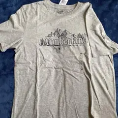 Timberland Tシャツ L/G【新品タグ付き‼️】のサムネイル