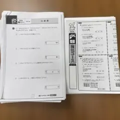 地理 駿台 岡田了一郎 授業プリント - メルカリ