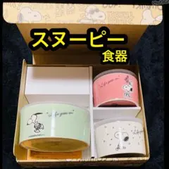 3点セット スヌーピー SNOOPY スヌーピーレンジ容器 スヌーピー高気密容器