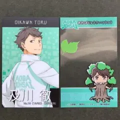 早い者勝ち！！ハイキュー‼︎かさねてシール＆カードNo.13及川徹Ｂ！！