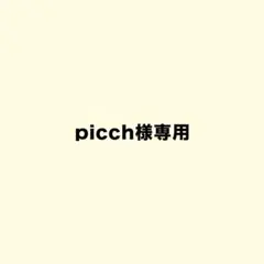 picchh様専用