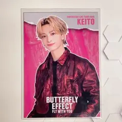 BUTTERFLY EFFECT-FLY WITH YOU-フォトカ　木村慧人