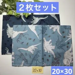 2枚組★小さめランチョンマット★給食ナフキン★ダイナソーC