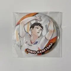 2026年最新】影山飛雄 缶バッジの人気アイテム - メルカリ