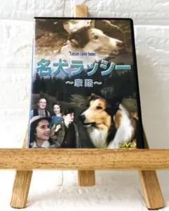 DVD 洋画 名犬ラッシー ～家路～ - メルカリ