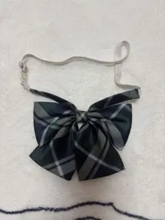 Item thumbnail for item eee8ef1f-d875-4260-bbf8-bd20dd918a59