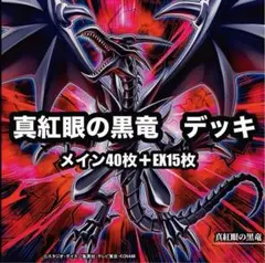 遊戯王　真紅眼の黒竜　レッドアイズ　本格構築　デッキ