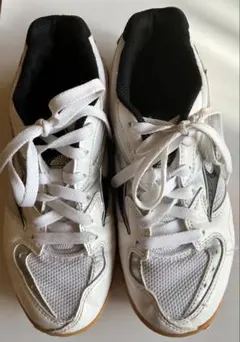 Mizuno 卓球シューズ ホワイト/シルバー ジュニア用 23、0cm