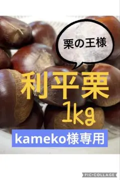 kameko様専用 利平　栗　１ｋg 栗　農薬、除草剤、消毒、化学肥料不使用