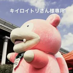 キイロイトリさん様専用