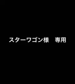 スターワゴン　様　専用出品