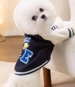 Item thumbnail for item 125560cd-1c87-4eb2-b465-605c68f5dc59