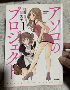 アソコのプロジェクト 1