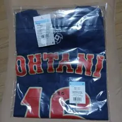 Item thumbnail for item f8f2e881-4545-4d9c-bea0-01bdee1861e4