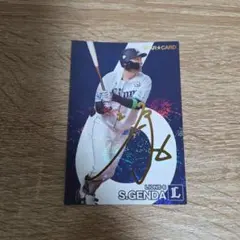 即購入⭕️　埼玉西武ライオンズ　源田壮亮選手　プロ野球チップスカード