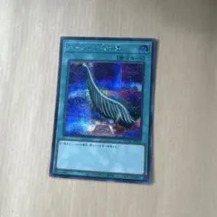 ハーピィの羽根帚 1枚