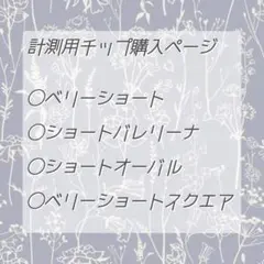 計測用チップ購入ページ　※即購入不可