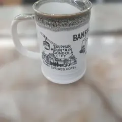 Item thumbnail for item 6a6f058b-ad6a-436a-bcf7-f2157655c305