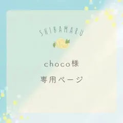 choco様専用ページ2枚セット