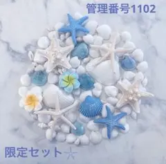 貝殻♡貝殻セット♡シェル♡ヒトデ♡ハンドメイド素材♡ブルー♡限定セット