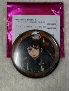 鬼滅の刃 無限城編 コラボカフェ 缶バッジ 時透無一郎 - メルカリ