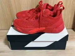 NIKE JORDAN LUKA 1