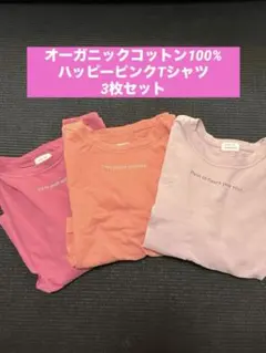トルコ産オーガニックコットンTシャツ3枚セットのサムネイル