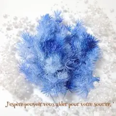 Item thumbnail for item 3a383fee-e76f-4505-bc72-e1e10667e314