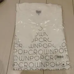 Printstar Tシャツ ホワイト Mサイズ
