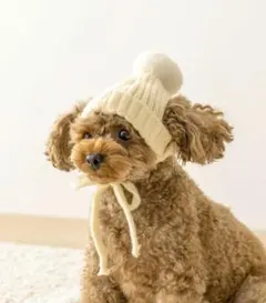 スリーコインズ　ペット用　ニット帽 アイボリー　スリコ