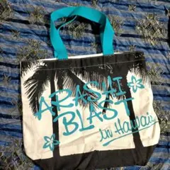 Item thumbnail for item 7e397ed8-3c7a-4fe7-8a4a-748088529060