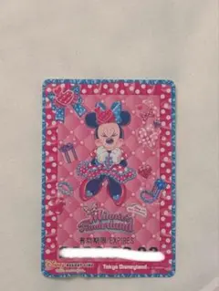 フリーきっぷ リゾートライン ミニーのファンダーランド